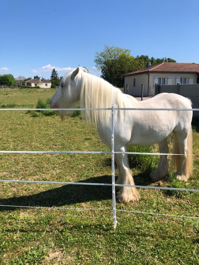 Le Cottage De Romas Villeneuve-sur-Lot Bagian luar foto